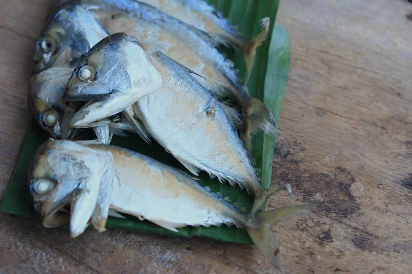 Mackerel segar di kayu — Stok Foto