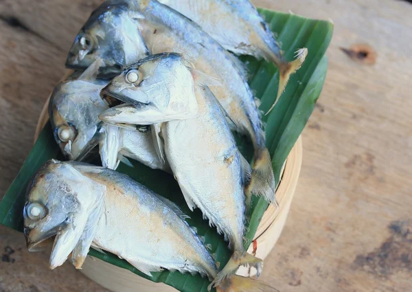 Mackerel segar di kayu — Stok Foto