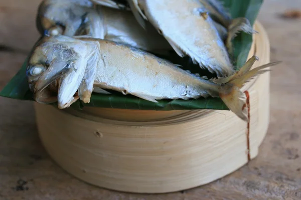 木制新鲜鲭鱼 — 图库照片