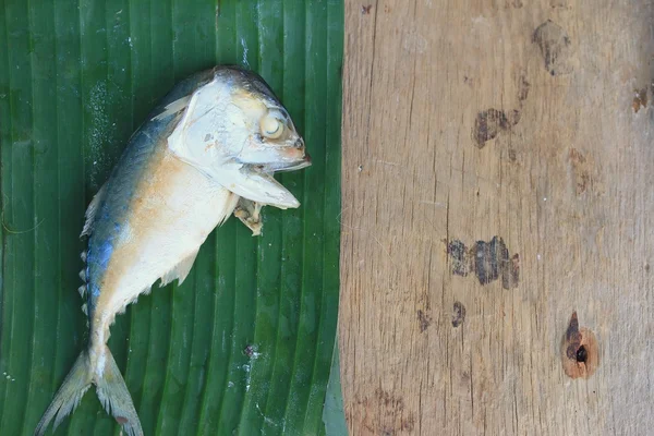 Mackerel segar di kayu — Stok Foto