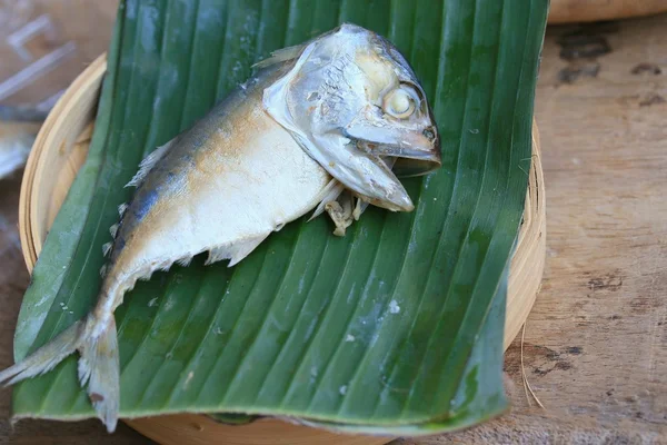 Čerstvá makrela na dřevěné — Stock fotografie