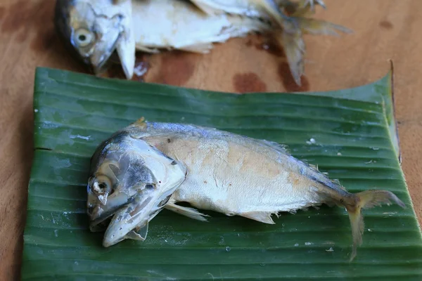 Fresh mackerel on wooden — Stock Photo, Image