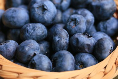 tatlı lezzetli taze yaban mersini 