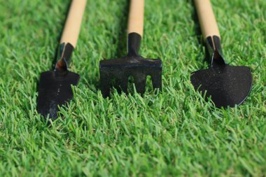 Bahçe araç çimenlerin üzerinde