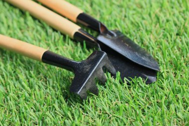 Bahçe araç çimenlerin üzerinde