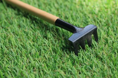 Bahçe araç çimenlerin üzerinde