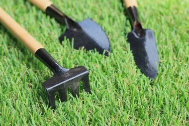 Bahçe araç çimenlerin üzerinde