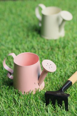 Bahçe araç çimenlerin üzerinde