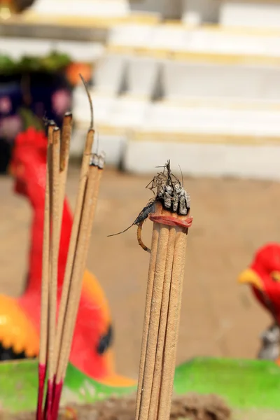 Bruciatore di incenso — Foto Stock