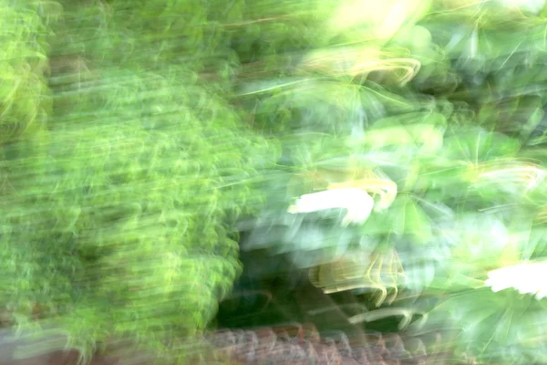 희미 한 빛의 자국의 배경 — 스톡 사진