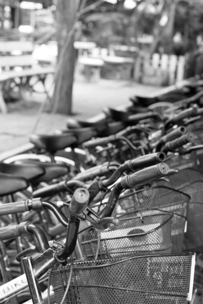 Primer plano de la bicicleta vintage —  Fotos de Stock