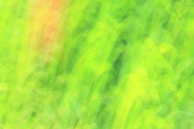 Bulanık ışık izleri arka plan