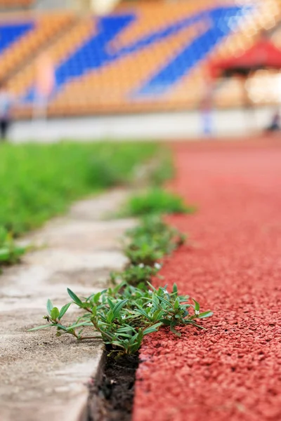 Looppiste voor de achtergrond van de atleten — Stockfoto