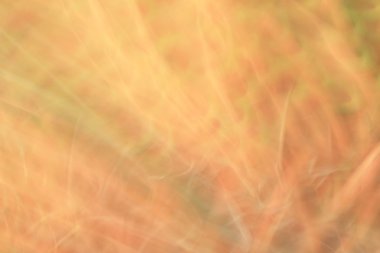 Bulanık ışık izleri arka plan