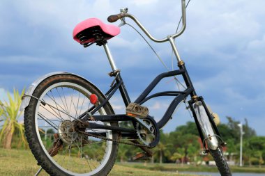 bisiklet yeşil çimlerin üzerinde