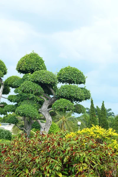 Engelse Tuin — Stockfoto