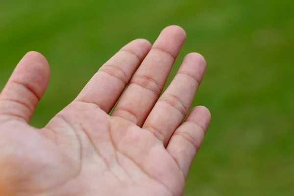 Yeşil çimenlerin üzerinde el açmak — Stok fotoğraf