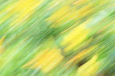 bulanık renkli arka plan doku