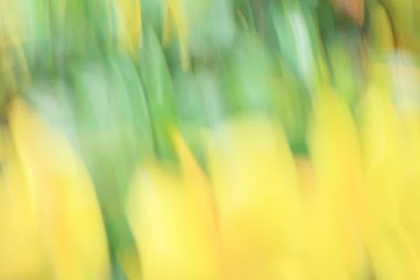 Suddig färgstarka bakgrund konsistens — Stockfoto