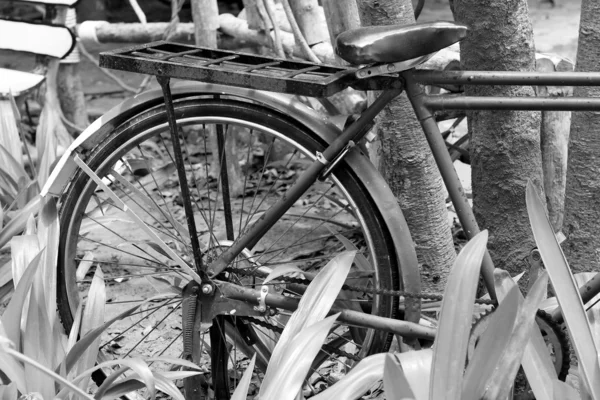 Primer plano de la vieja bicicleta vintage . — Foto de Stock