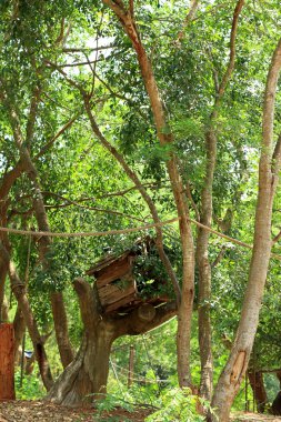 Yeşil orman ağaç evler