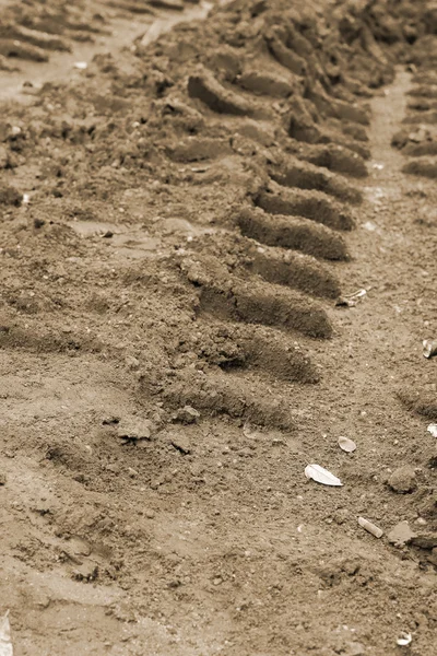 Wielsporen op de grond. — Stockfoto