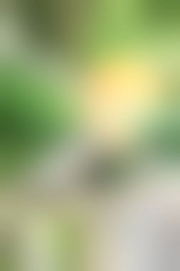 bulanık renkli arka plan doku