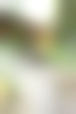 bulanık renkli arka plan doku