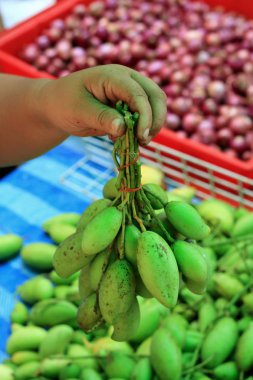 meyve mango piyasada