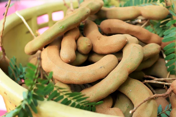 Tamarind in the market — Stock Photo, Image