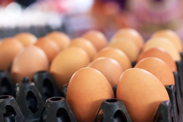 Бурое яйцо на ферме — стоковое фото