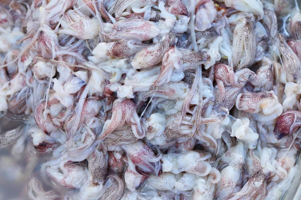Calamares frescos en el mercado — Foto de Stock