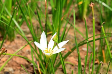 bulanık renkli arka plan doku