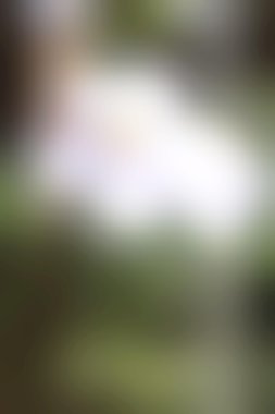 bulanık renkli arka plan doku