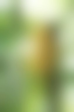 bulanık renkli arka plan doku