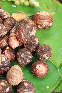 Taro içinde belgili tanımlık çarşı