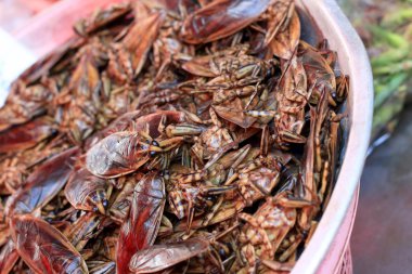 Kızarmış böcek yakın çekim