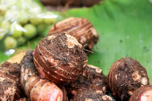 Taro in the market — Stock Photo, Image