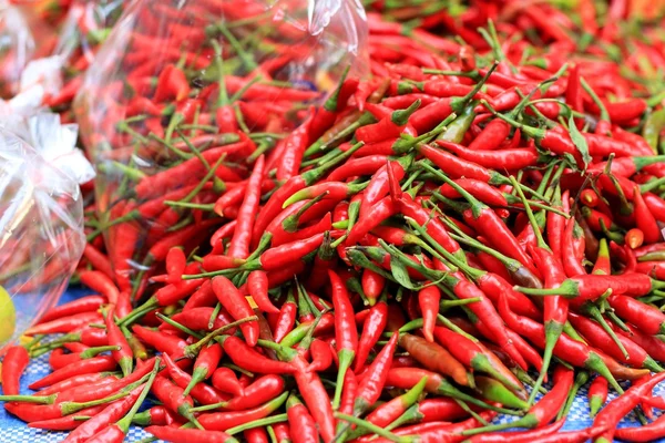 Verse chili in de markt — Stockfoto