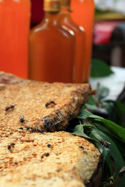 Fresh honey in the comb — Stock Photo, Image