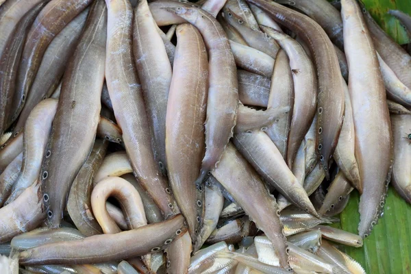 Pescado fresco en el mercado. —  Fotos de Stock