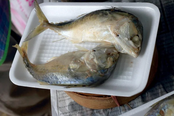 Mackerel fish in the market — Stock Photo, Image