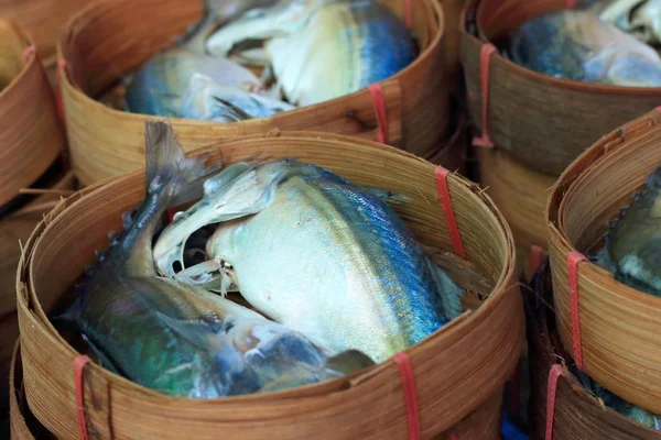 Makrill fisk på marknaden — Stockfoto