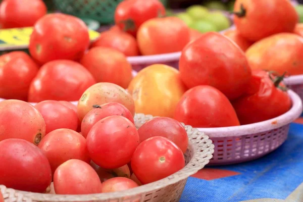 Świeże pomidory na rynku — Zdjęcie stockowe