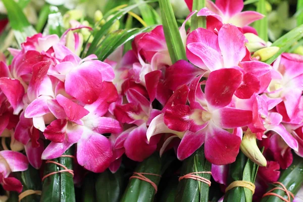 Orquídeas rosadas atadas juntas en el mercado . —  Fotos de Stock