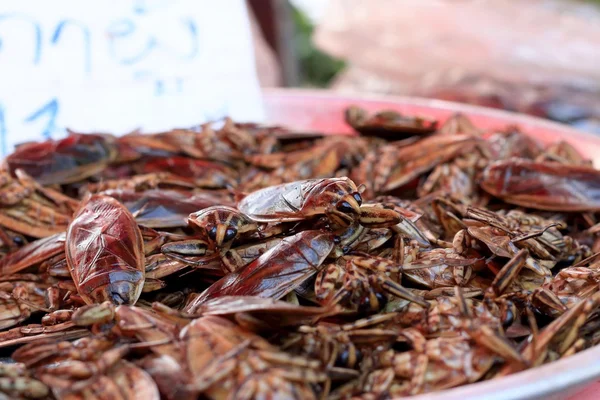 Kızarmış böcek yakın çekim
