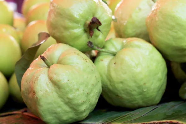 Guava frukt på marknaden — Stockfoto