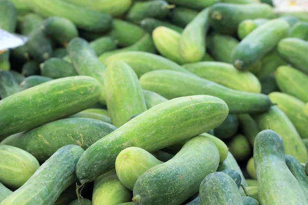 Fresh cucumber in the market — Stock Photo, Image