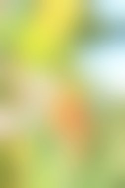 bulanık renkli arka plan doku