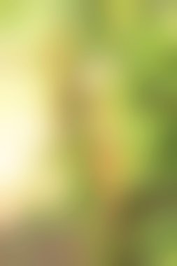 bulanık renkli arka plan doku